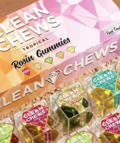 Clean Chews | Tropical Rosin Gummies – 200MG